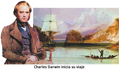 Darwin